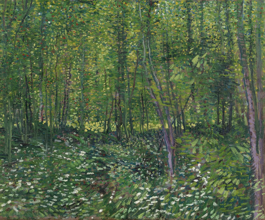 Træer og underskov - Vincent van Gogh