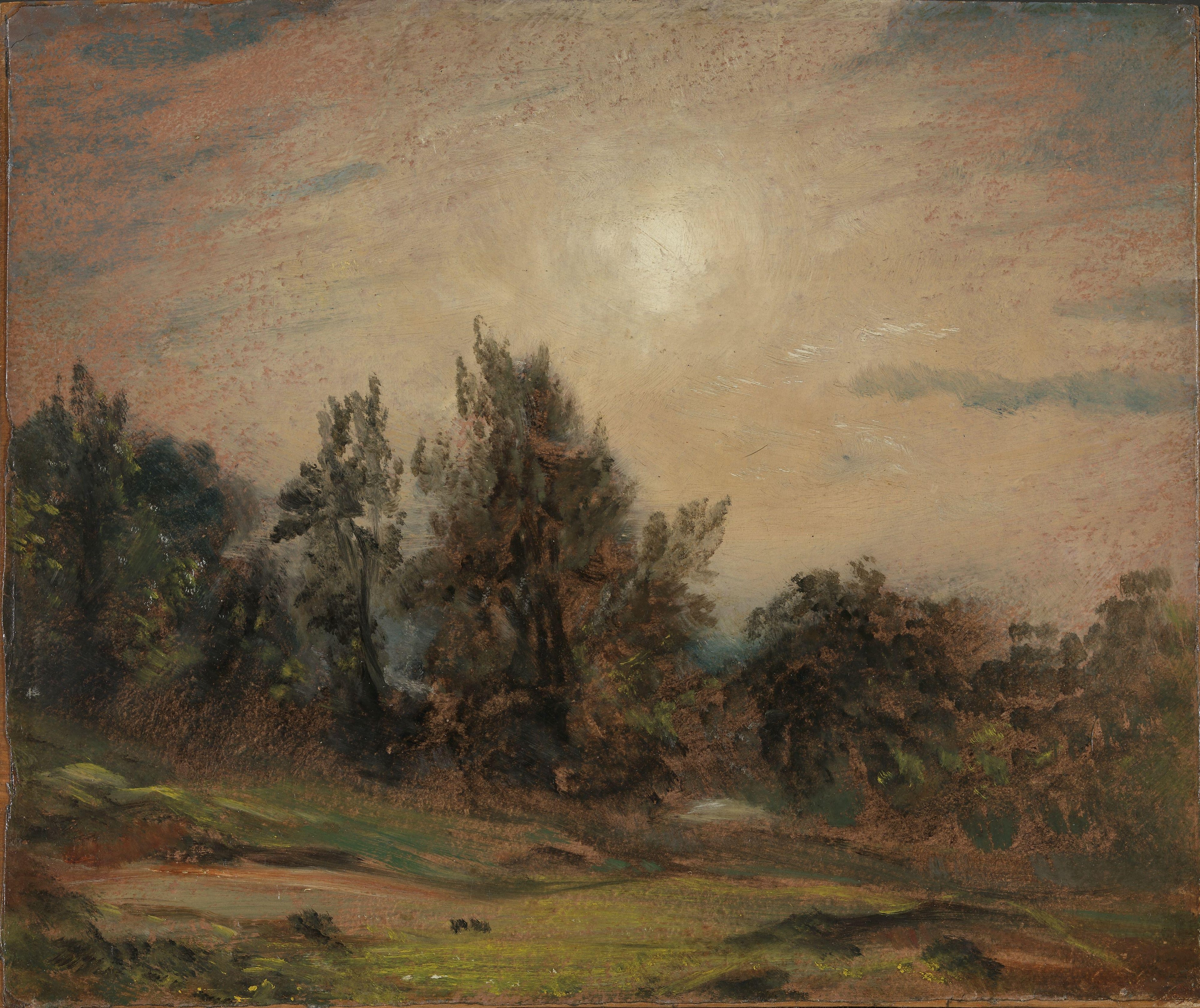 Træer på Hampstead Heath - John Constable