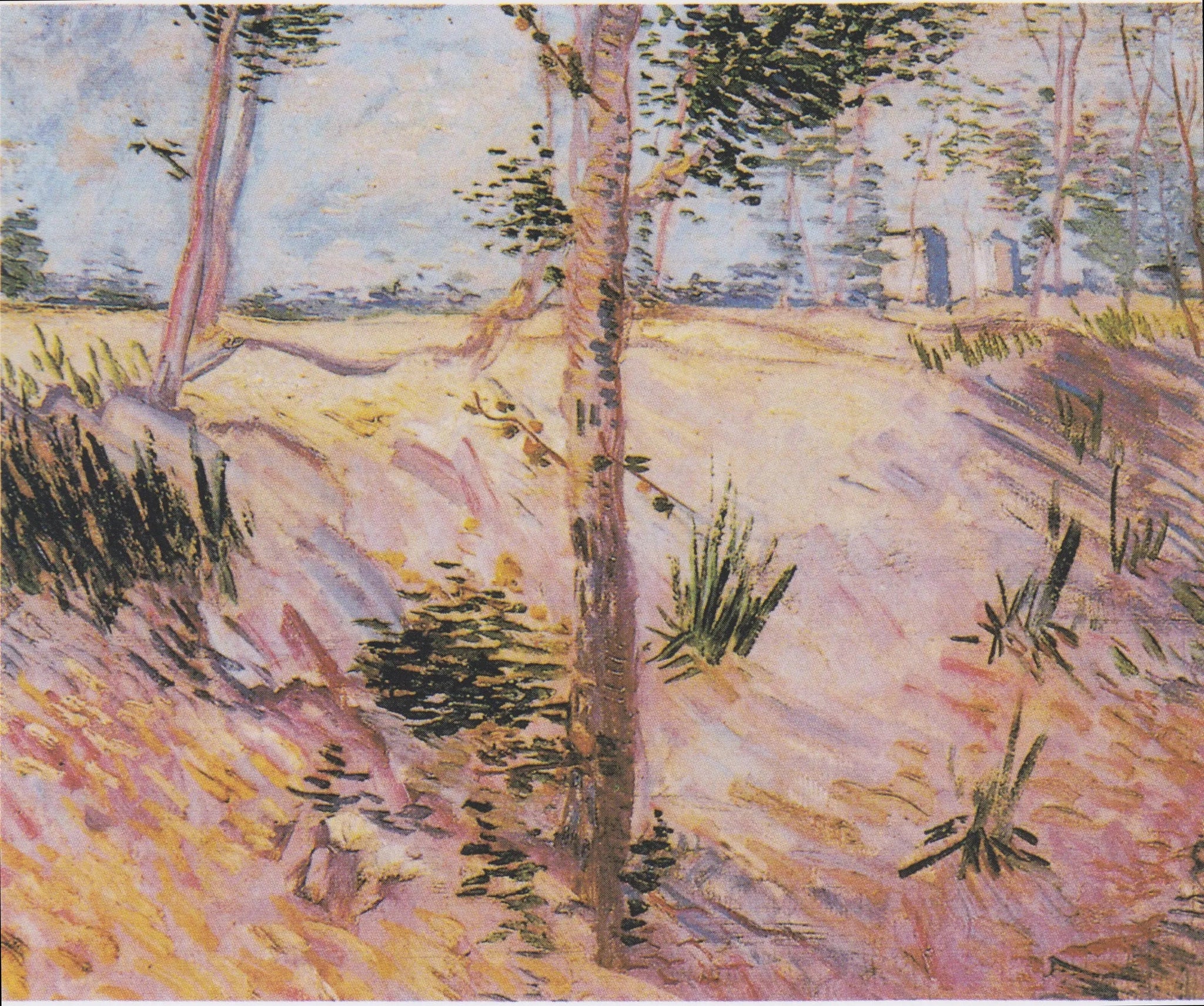Arbres sur une pente - Vincent van Gogh image 1 tableau peint à l’huile sur toile