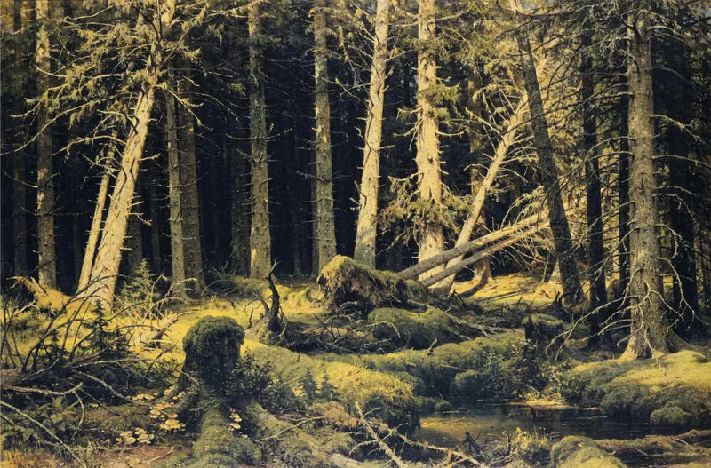 Træer faldet af vinden - Ivan Chichkine