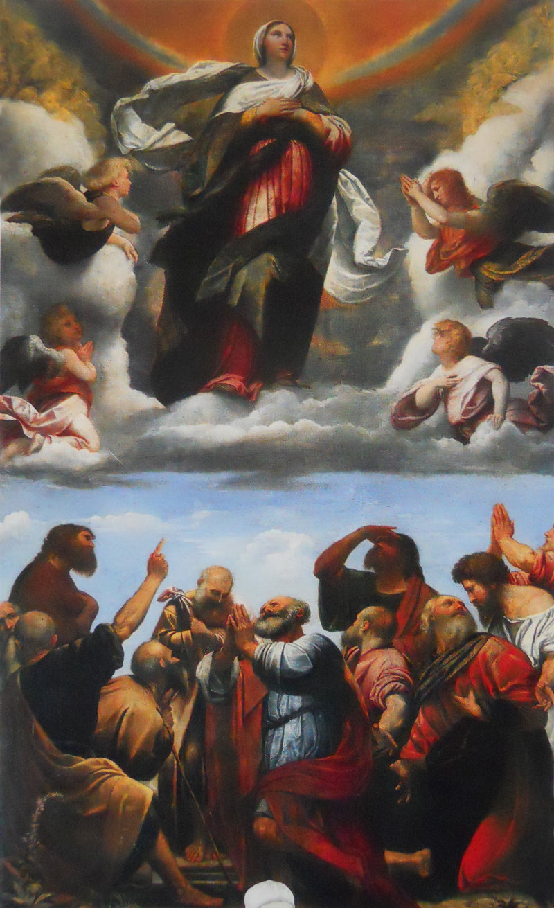 Jomfru Marias Antagelse - Alessandro Bonvicino