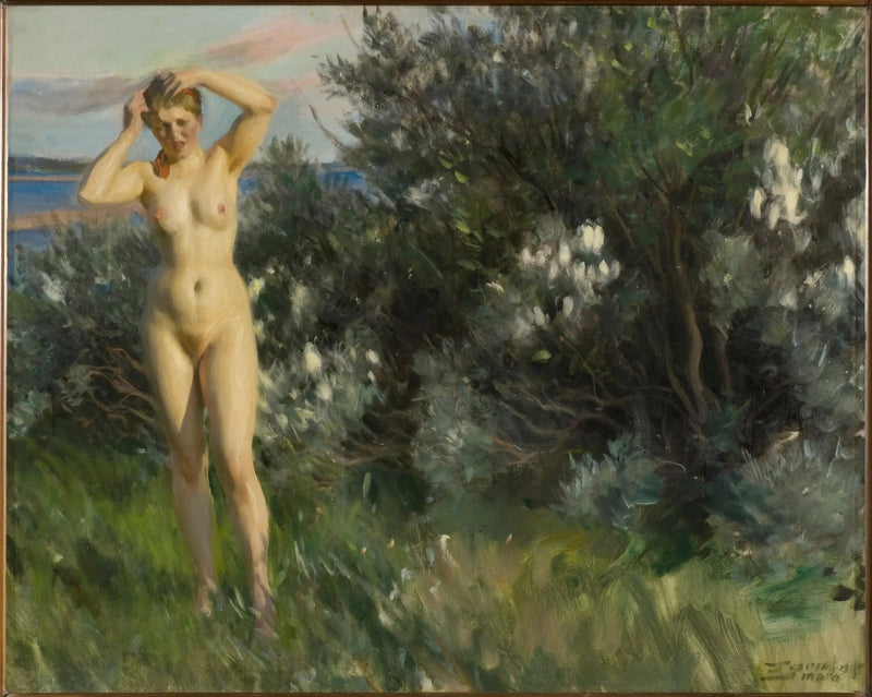 Ved bredden af Siljan-søen - Anders Zorn