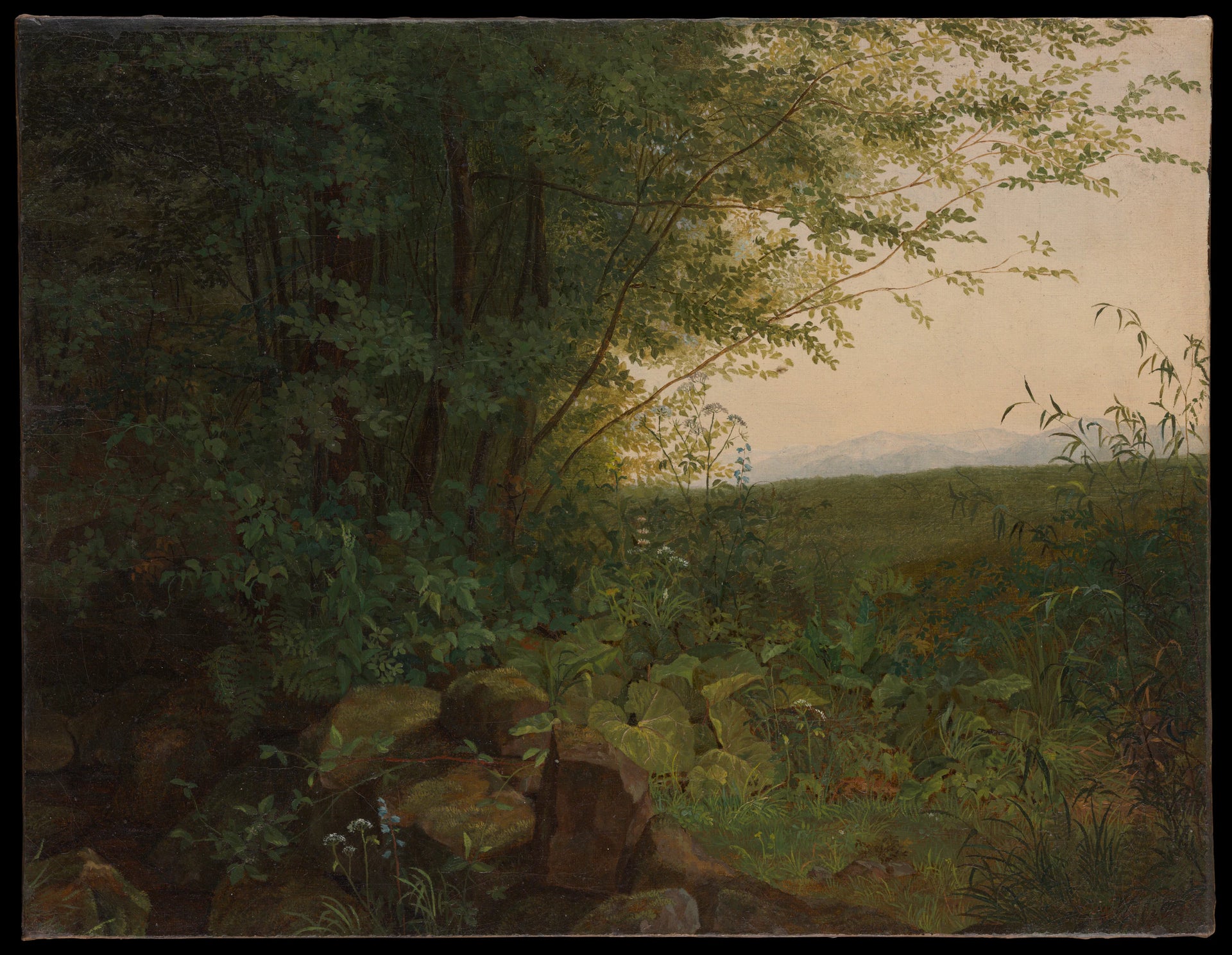 Au bord de la forêt - August Heinrich