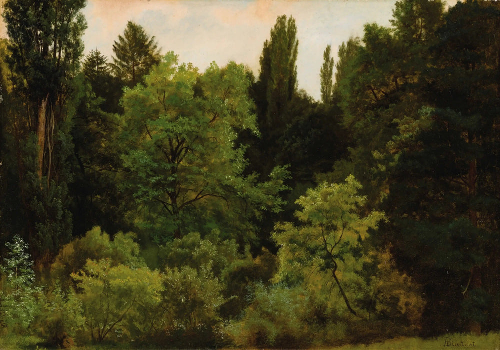 Au cœur des Rocheuses - Albert Bierstadt image 1 reproduction réalisée par Alpha Reproduction