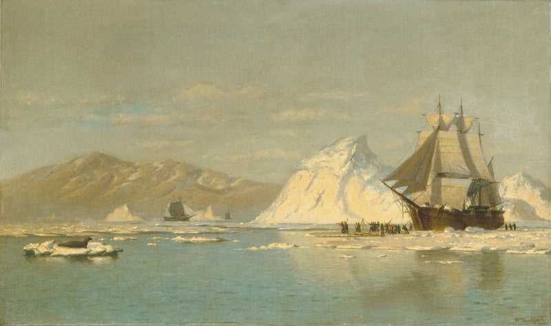 Uden for Grønland — Hvalfanger på jagt efter åbent vand - William Bradford