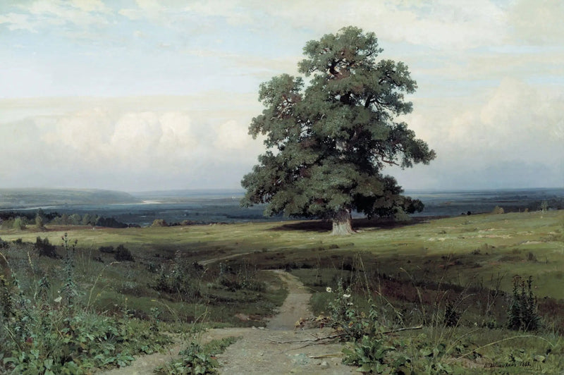 Midt i dalen… - Ivan Chichkine