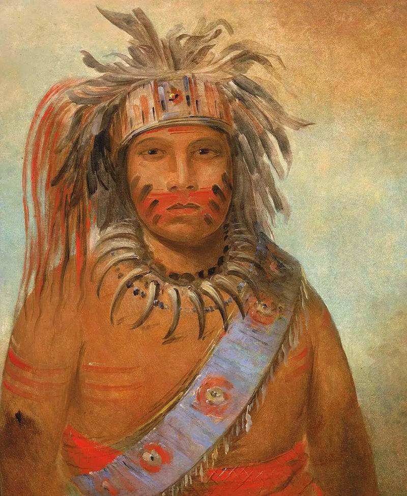 Au-nim-muck-kwa-um, stormfuglen - George Catlin