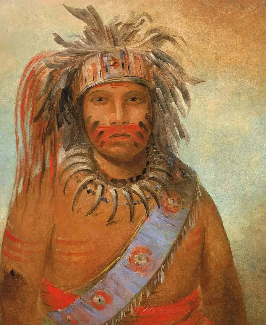 Au-nim-muck-kwa-um, stormfuglen - George Catlin