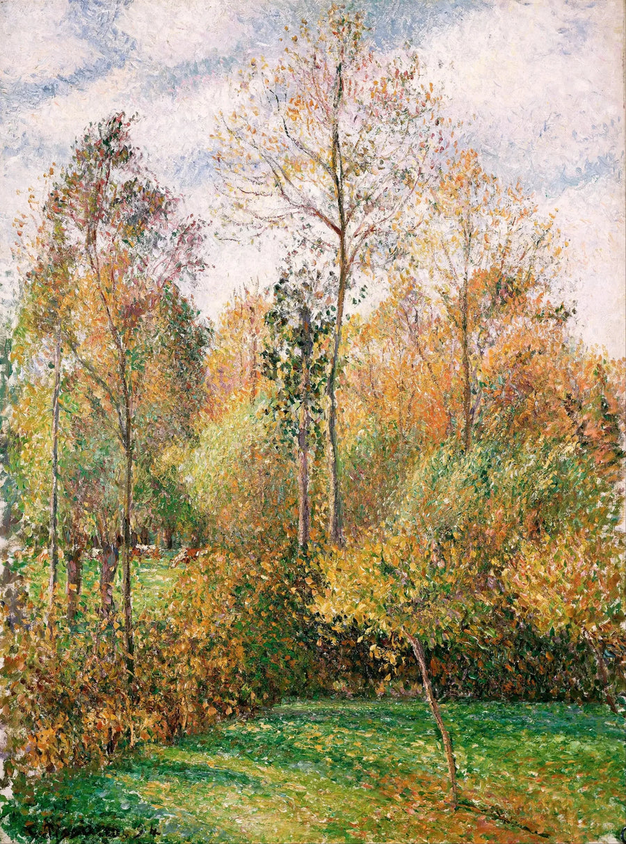 Efterår, Poppeltræer, Éragny - Camille Pissarro