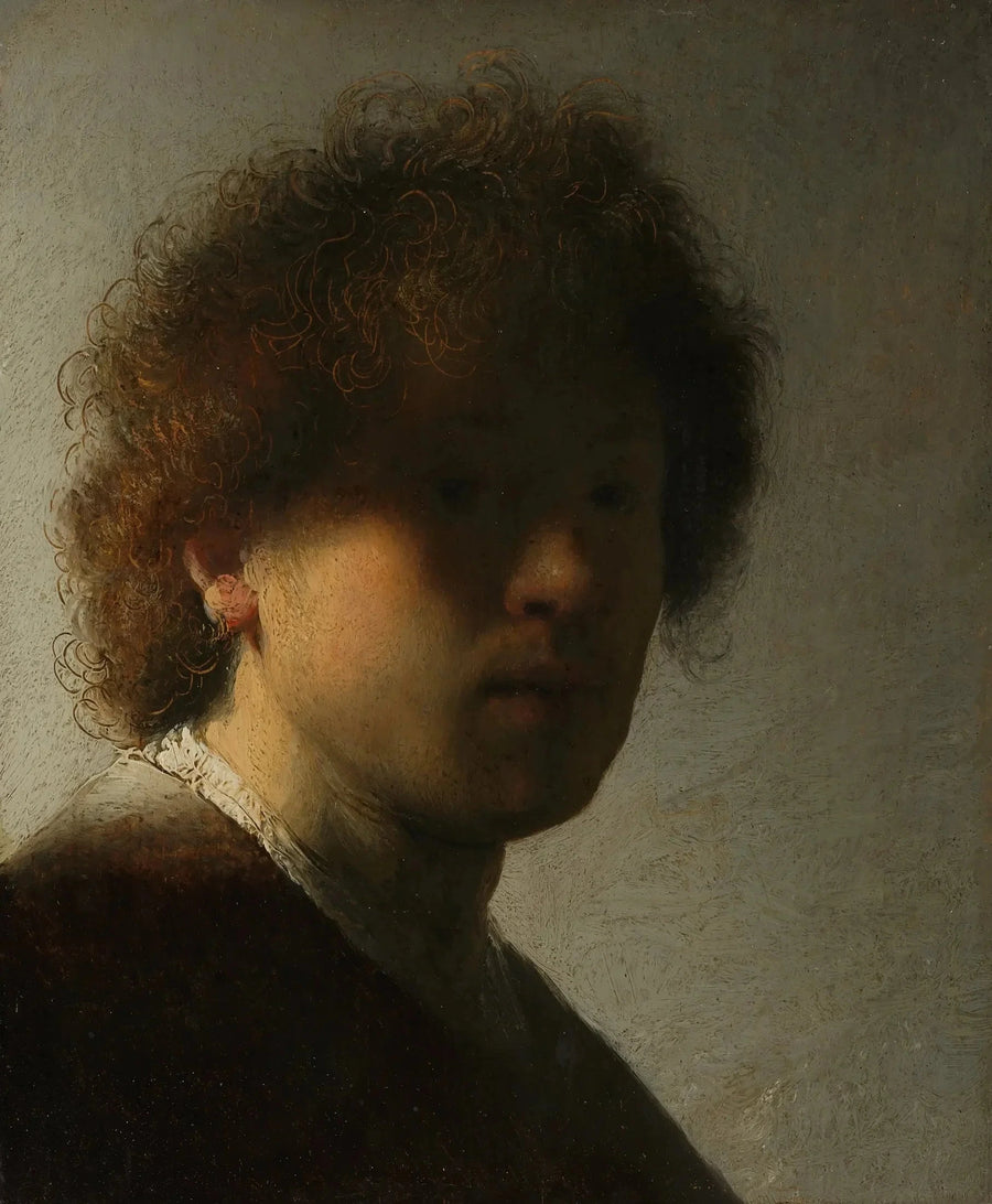 Selvportræt med ustyrlige hår - Rembrandt