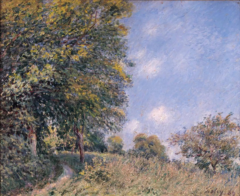 Omkring skoven, morgen i juli - Alfred Sisley