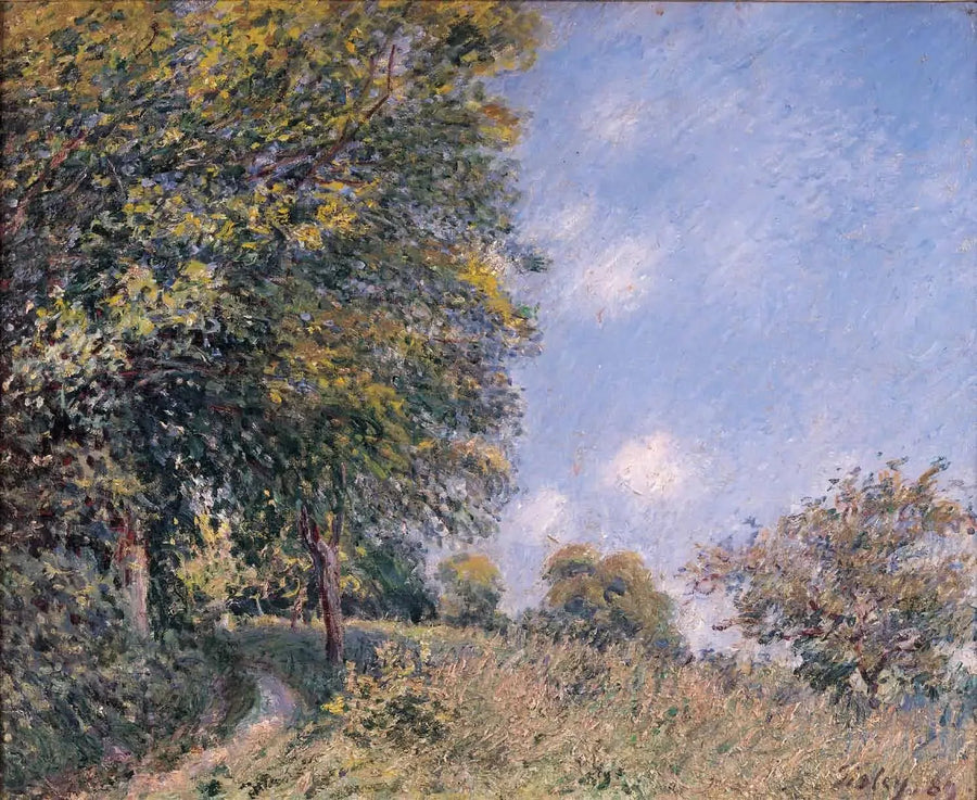 Omkring skoven, morgen i juli - Alfred Sisley