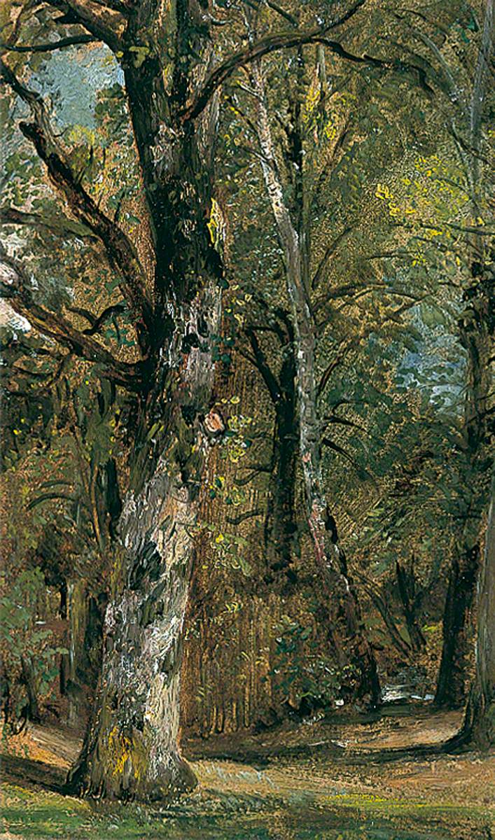 Avenue des Arbres - John Constable