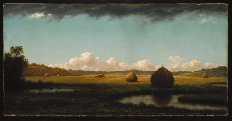 Sommerbaggrunde - Martin Johnson Heade