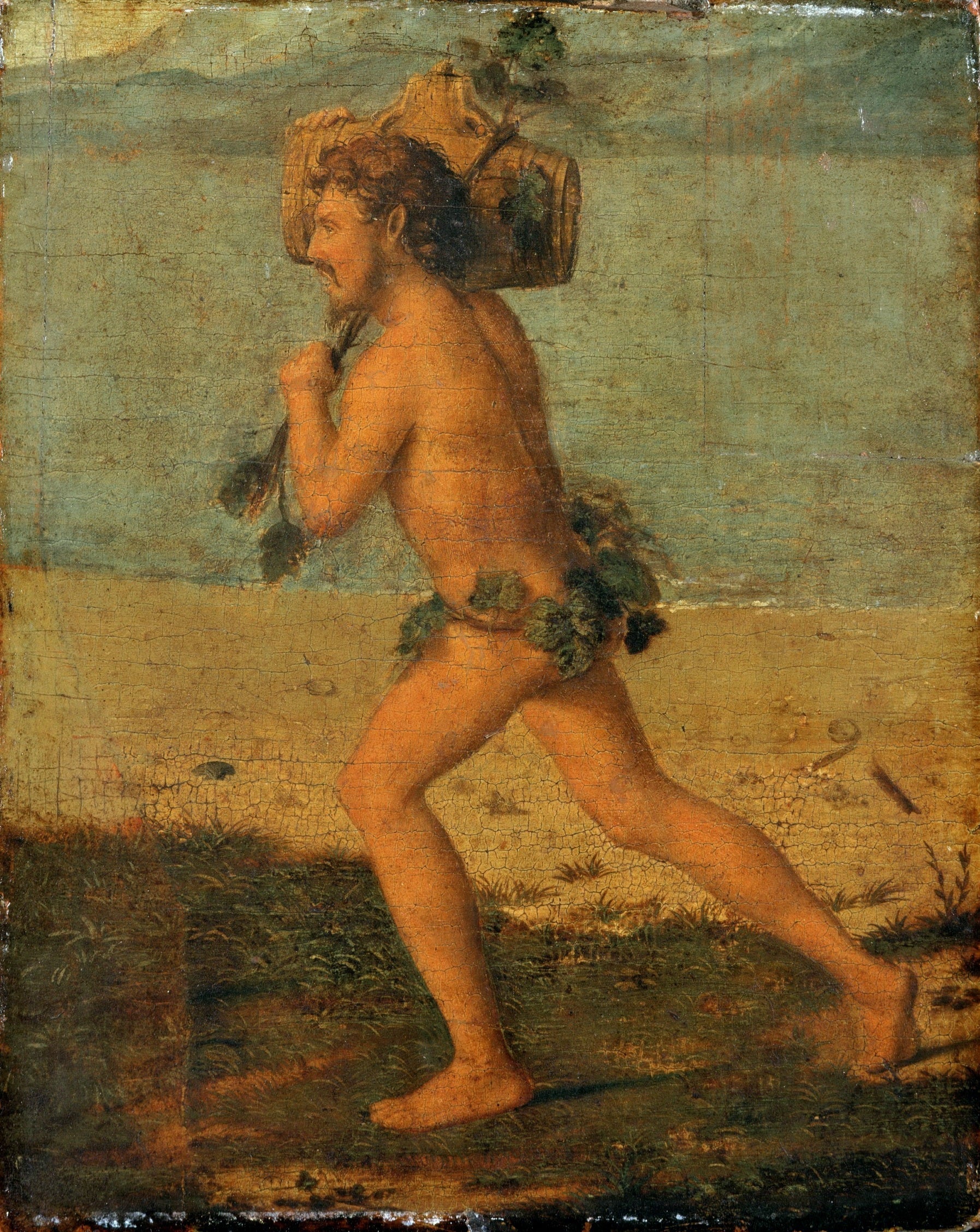 Bacchant - Cima da Conegliano - Alpha Reproduction