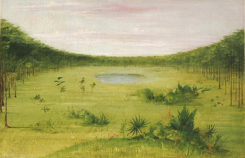 Smuk savanne i Floridas fyrreskove - George Catlin