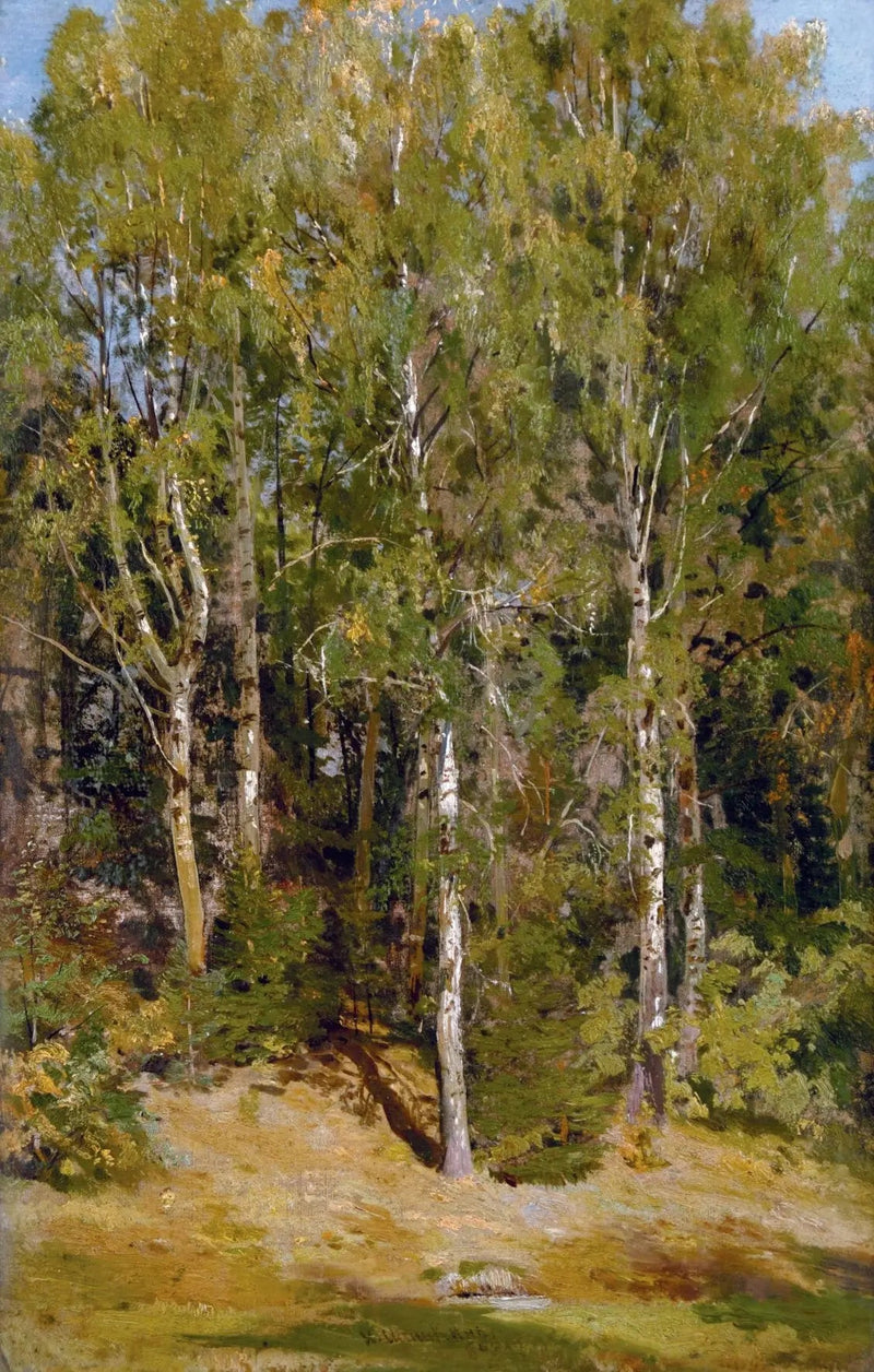 Birke Skov - Ivan Chichkine