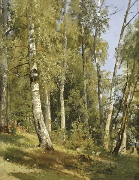 Birke Skov - Ivan Chichkine