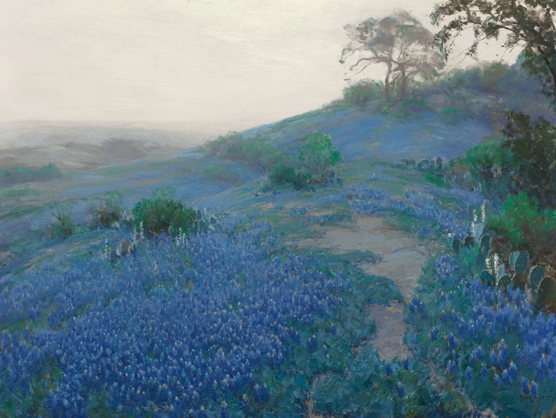 Blue Bonnet Field, tidlig morgen, San Antonio, Texas - Julian Onderdonk