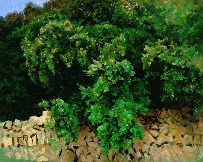 Ilextræ. Mallorca - John Singer Sargent