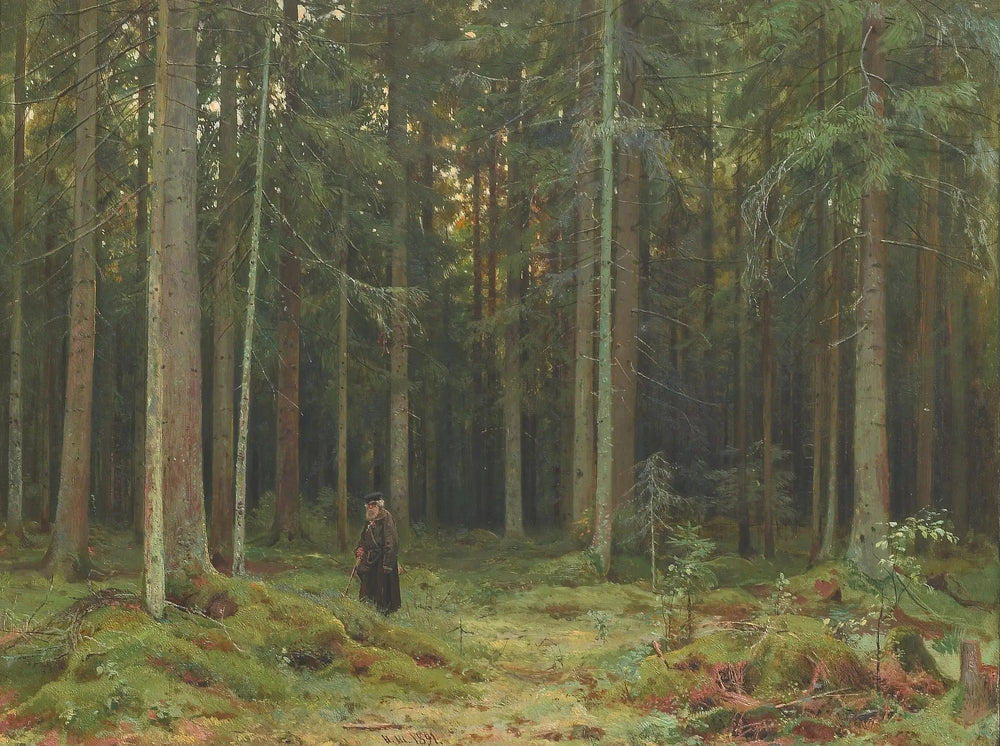 Bois de la comtesse Mordvinova. Peterhof - Ivan Chichkine - Alpha Reproduction