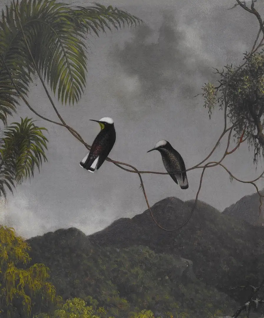 Sneehætte - Martin Johnson Heade