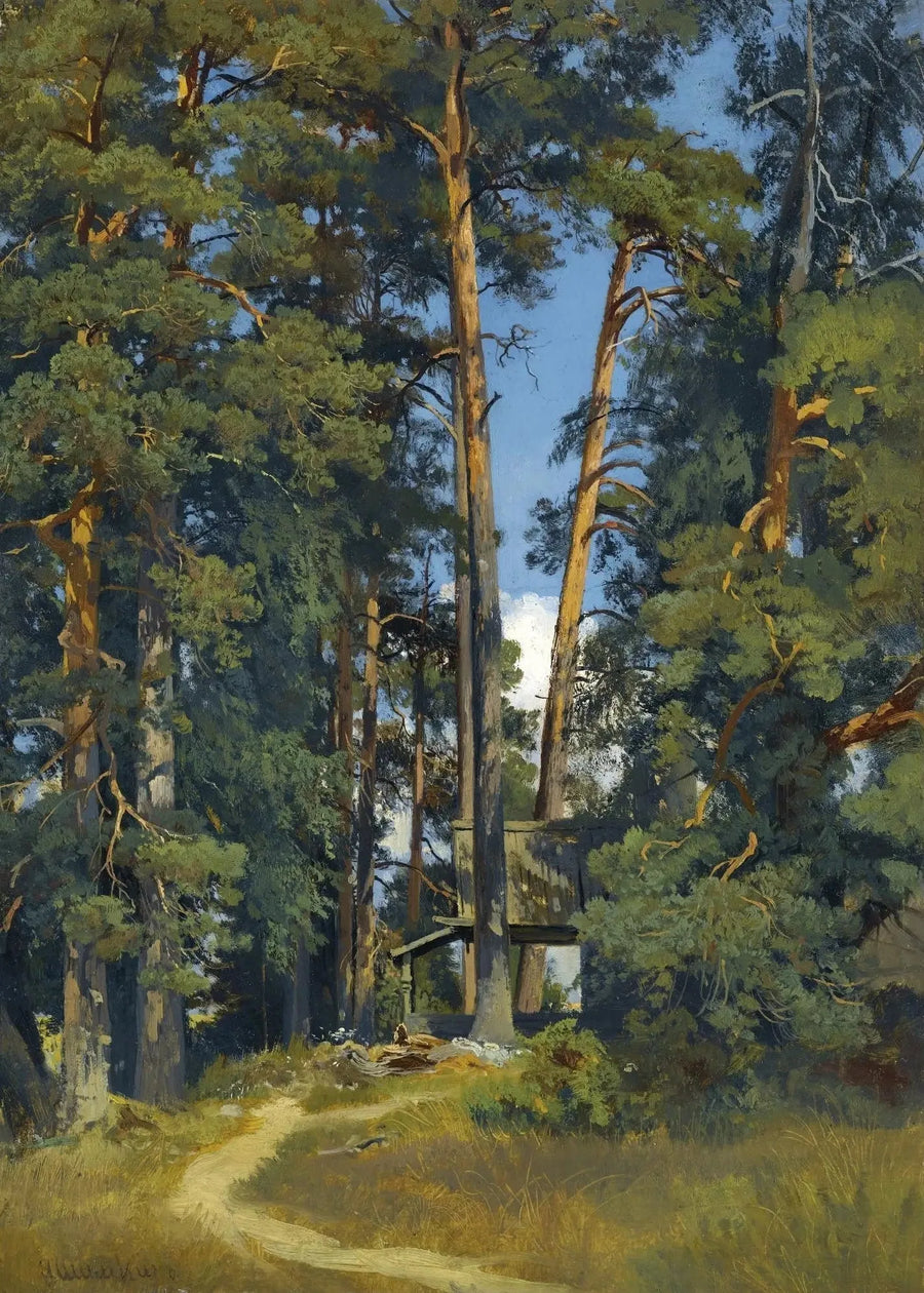 Bosquet boisé - Ivan Chichkine
