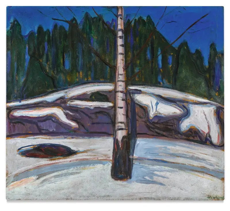 Birk i sneen - Edvard Munch