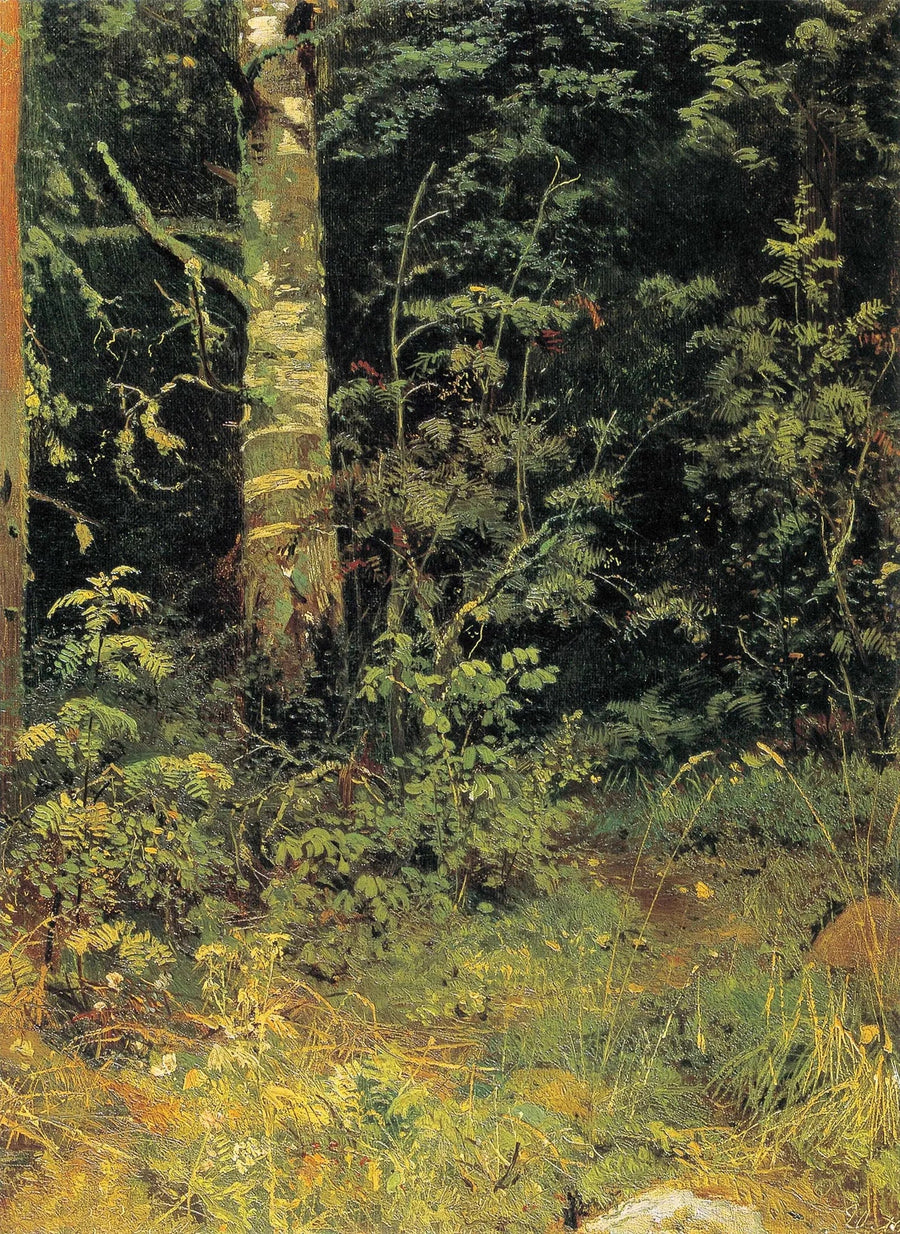 Birke og tjørn - Ivan Chichkine