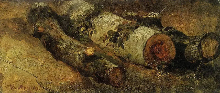 Bøgetræer fældet - Ivan Chichkine