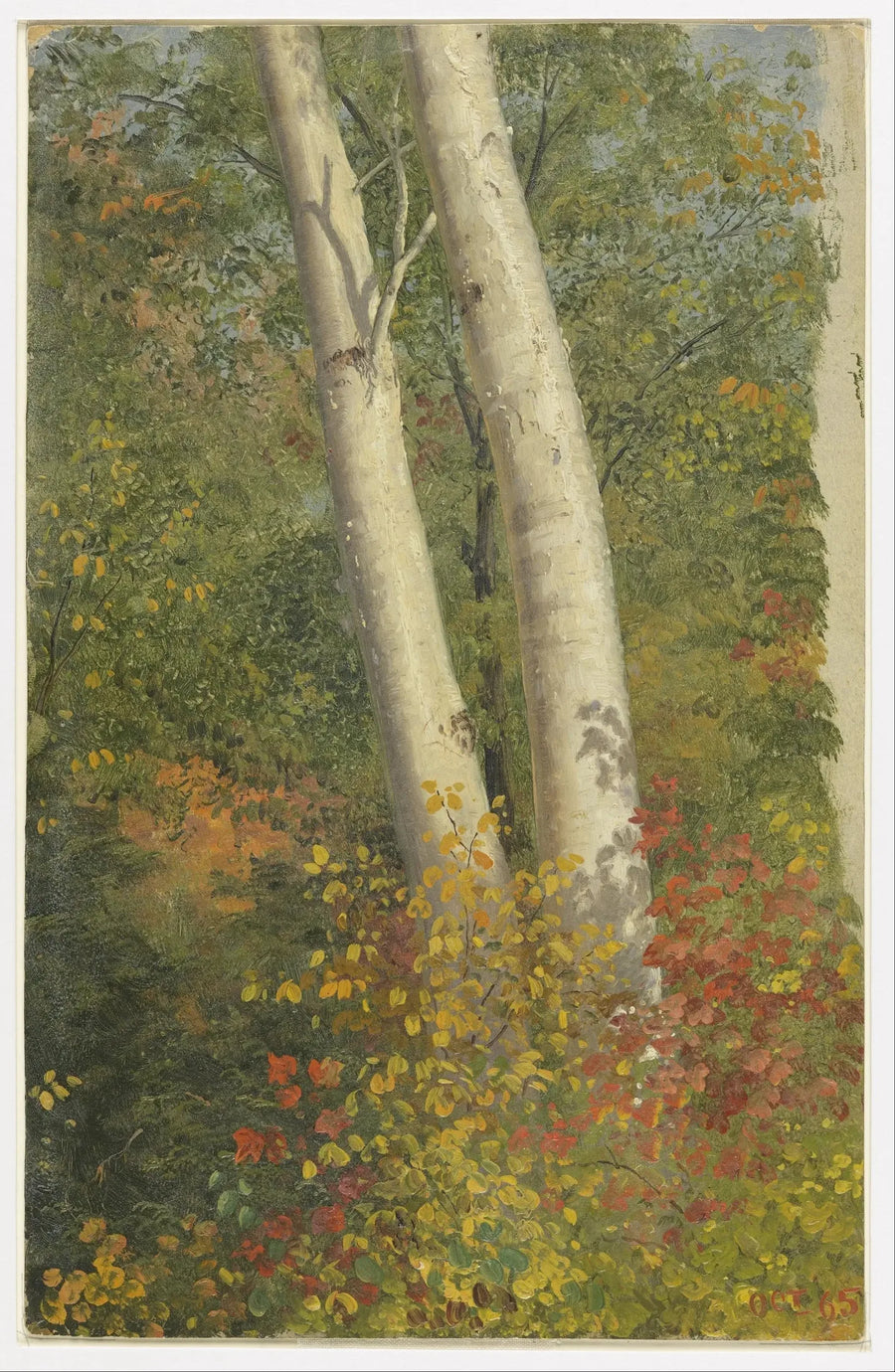 Bøgetræer om efteråret - Frederic Edwin Church