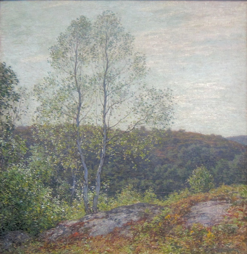 Tvillingebøgetræer - Willard Metcalf