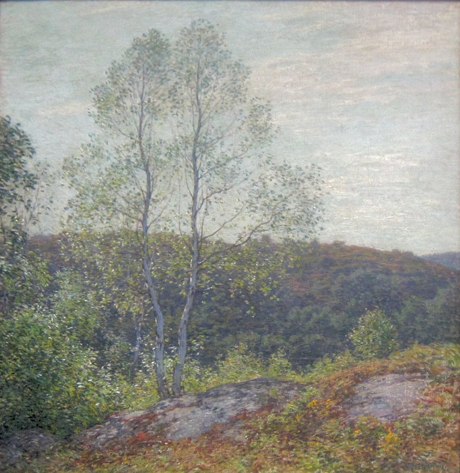 Tvillingebøgetræer - Willard Metcalf
