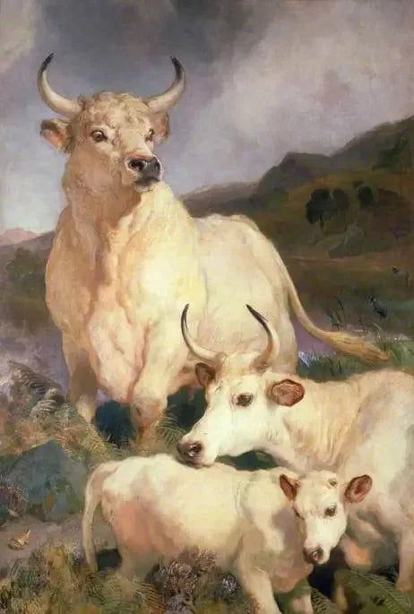 Chillingham vilde okser, Northumberland - Edwin Henry Landseer