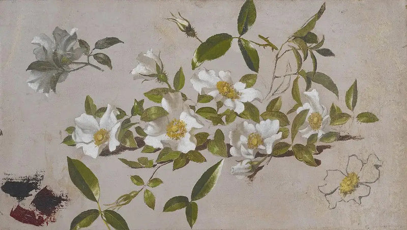 Cherokee-rosenbuskgrene - Martin Johnson Heade