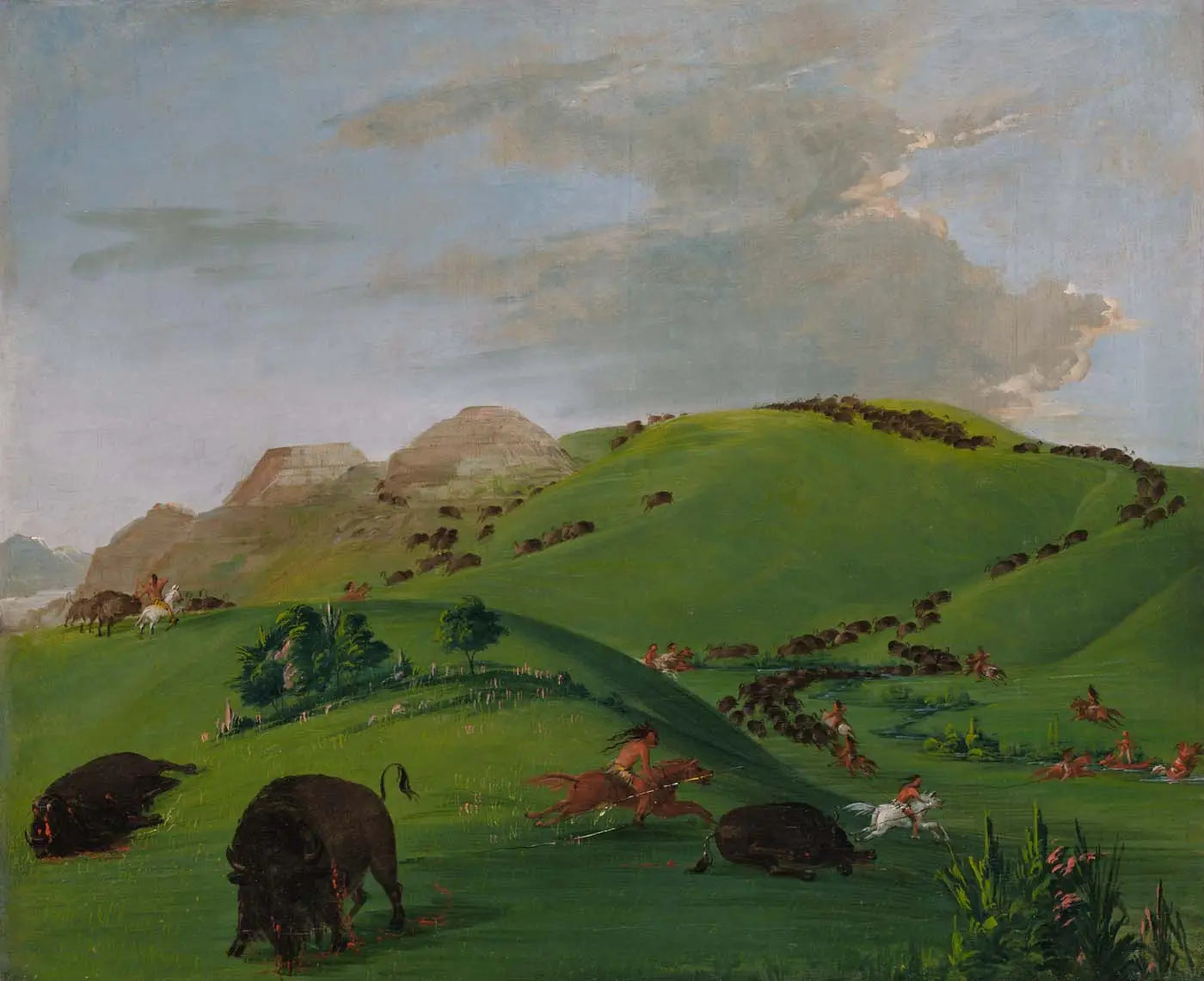 Buffalo Chase embouchure du Yellowstone - George Catlin - Alpha Reproduction