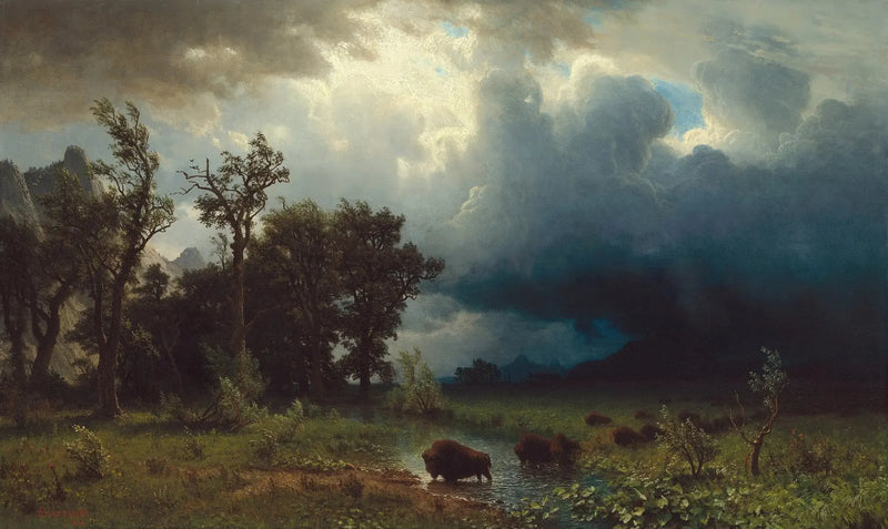 Buffalo Trail : den forestående storm - Albert Bierstadt