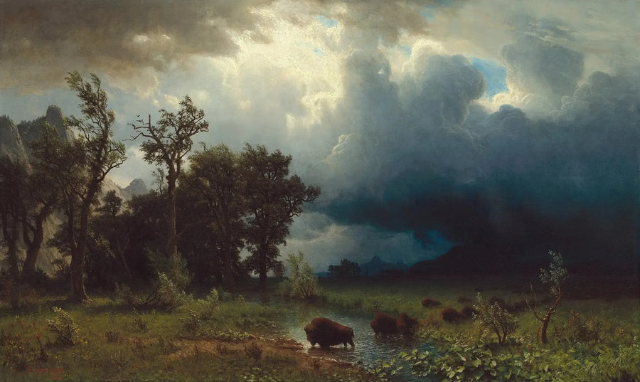 Buffalo Trail : den forestående storm - Albert Bierstadt