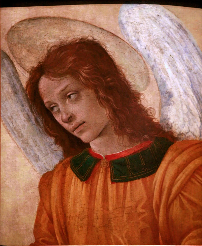 Englebuste - Filippino Lippi