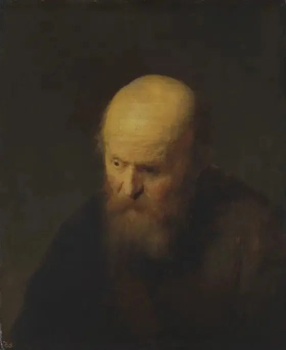 Buste af en gammel mand med skaldet hoved - Rembrandt