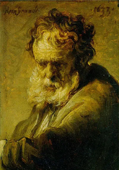 Buste af en gammel skægget mand - Rembrandt