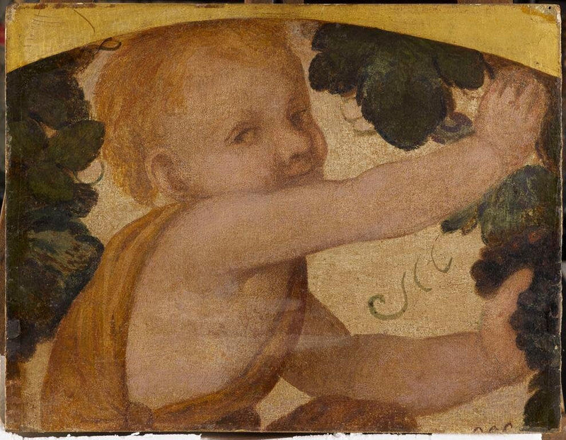 Putto-buste i vinrankerne - Bernardino Luini