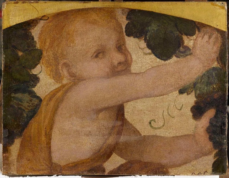Putto-buste i vinrankerne - Bernardino Luini