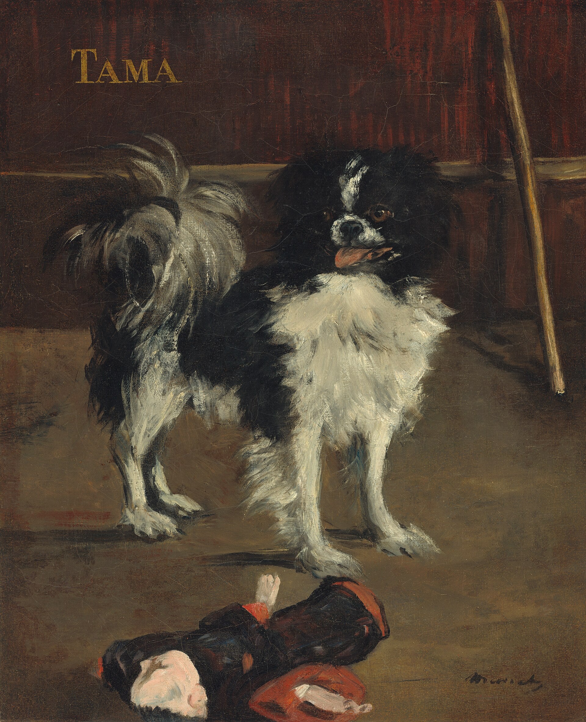 Tama, le chien japonais - Édouard Manet