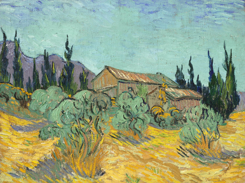 Træhytter blandt oliventræer og cypresser - Vincent van Gogh