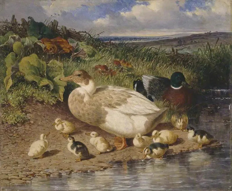 Andefugle ved bredden af en bæk - John Frederick Herring, Sr.