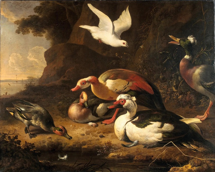 Andefugle - Melchior de Hondecoeter