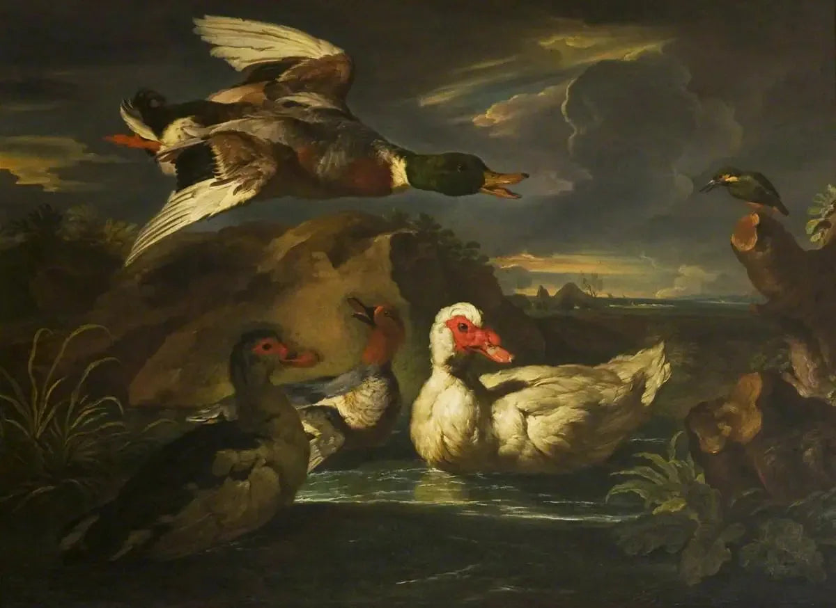 Canards sauvages avec martin-pêcheur - Melchior de Hondecoeter image 1 reproduction de peinture à l’huile