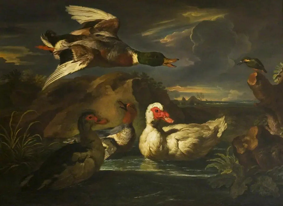 Vilde ænder med fiskemåge - Melchior de Hondecoeter