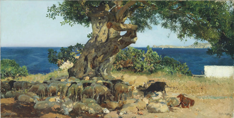 Carobtræ - Joaquín Sorolla